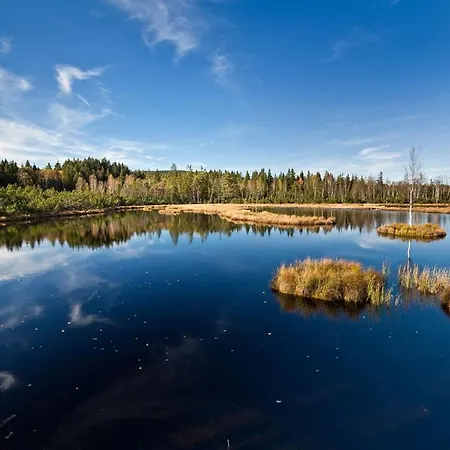 Sumava فندق 4*