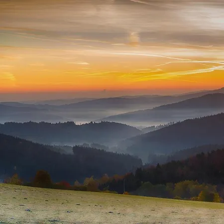 Ξενοδοχείο Sumava 4*