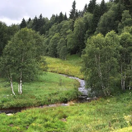 Hotel šumava 4*