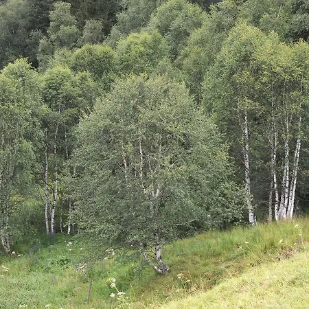 Sumava 4* Kvilda