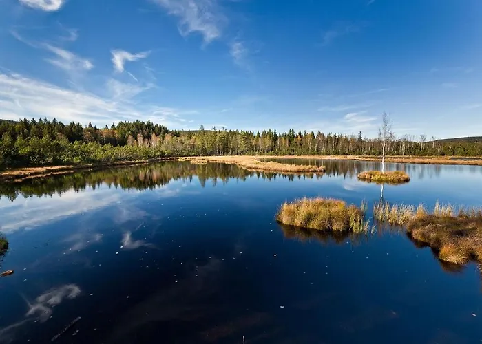 Sumava Hotel 4*