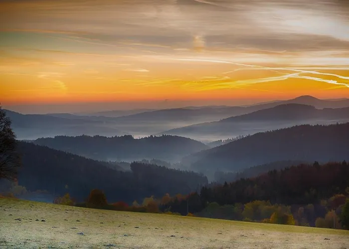 Hotel Sumava 4*