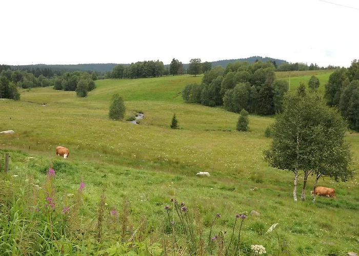 Hotel šumava Kvilda