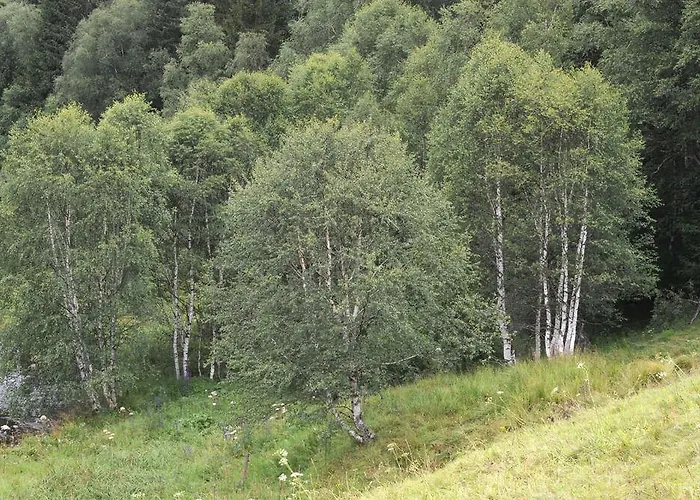 Sumava 4* Kvilda